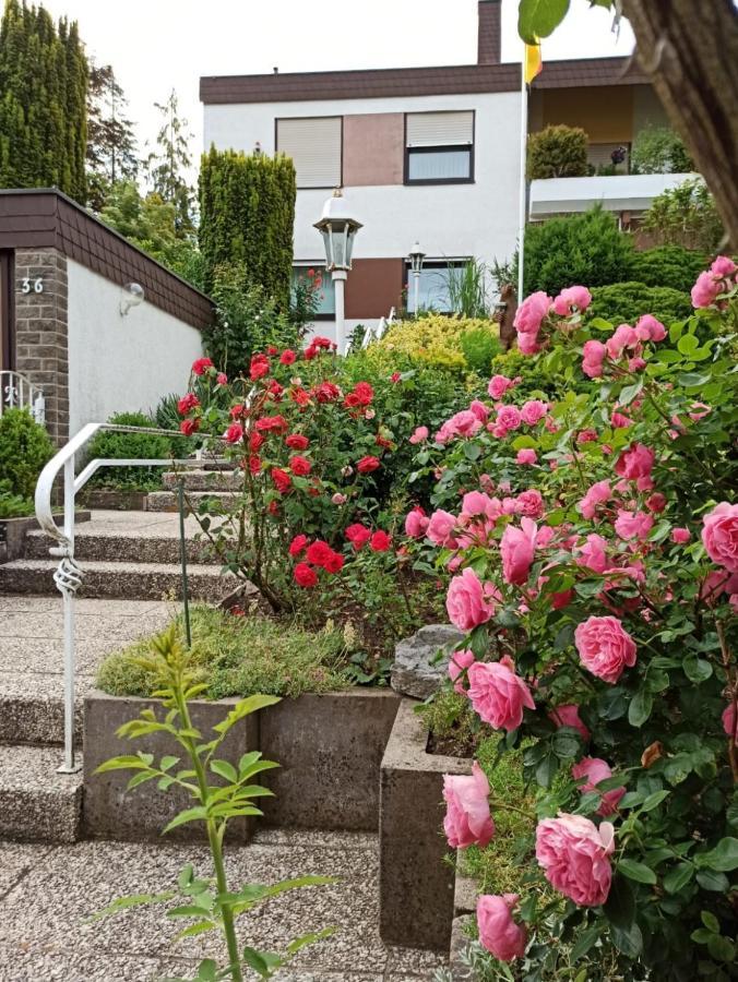 באד קיסינגן Apartments Gala, Ruhige Lage, Stadtnah מראה חיצוני תמונה
