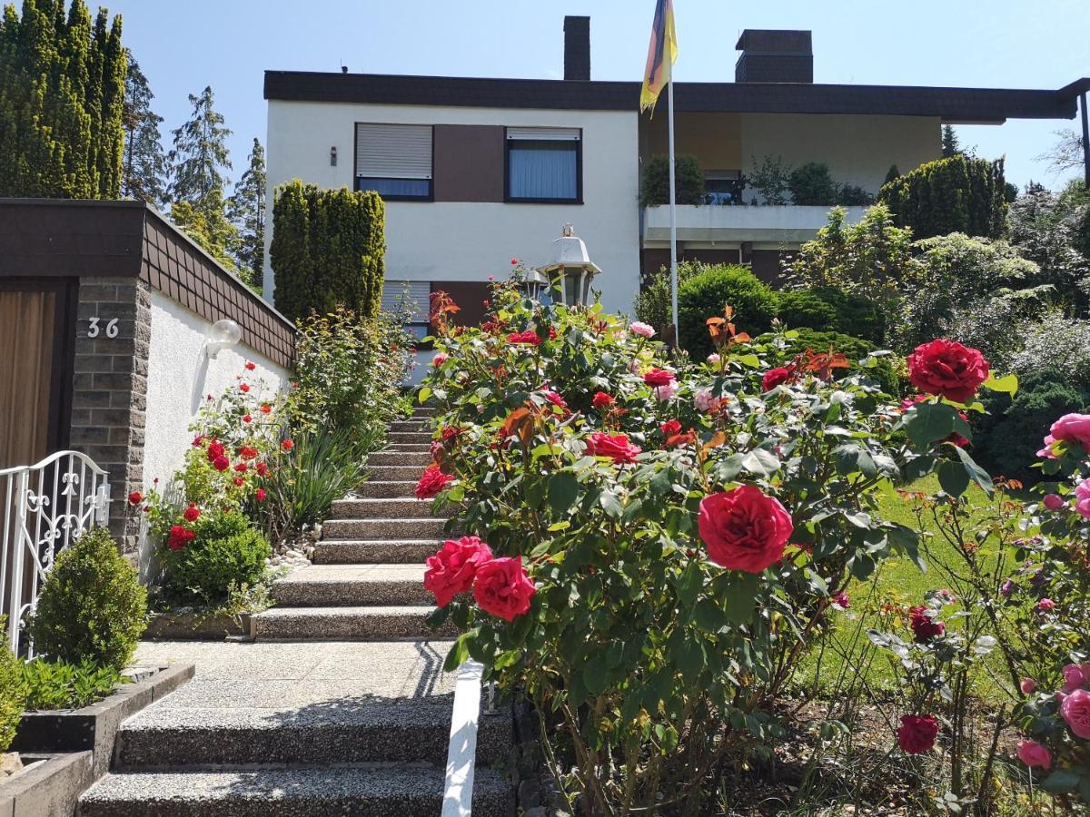 באד קיסינגן Apartments Gala, Ruhige Lage, Stadtnah מראה חיצוני תמונה